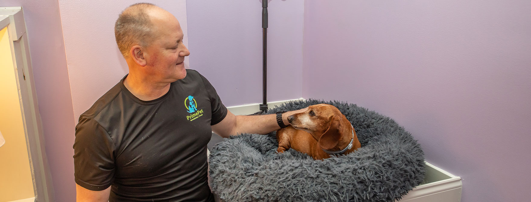 Prime Pet Rehabilitation Therapy